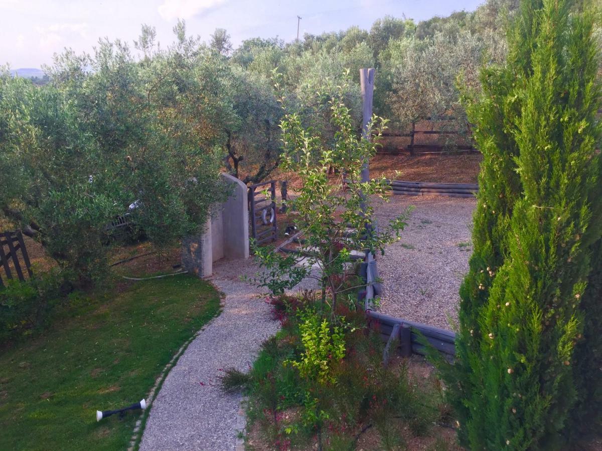 Sea view villa in Olive Garden Nea Kallikrateia Buitenkant foto