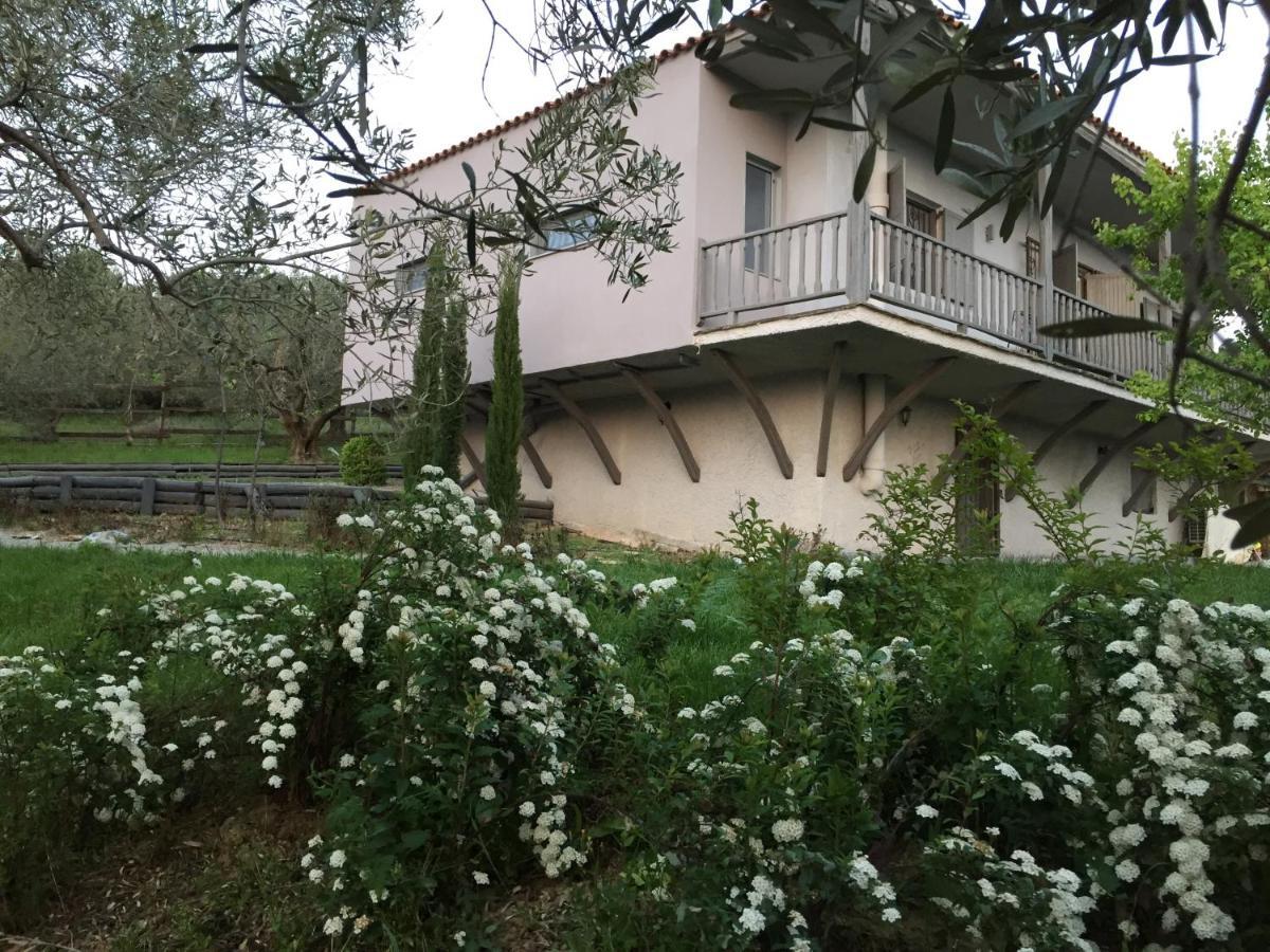 Sea view villa in Olive Garden Nea Kallikrateia Buitenkant foto